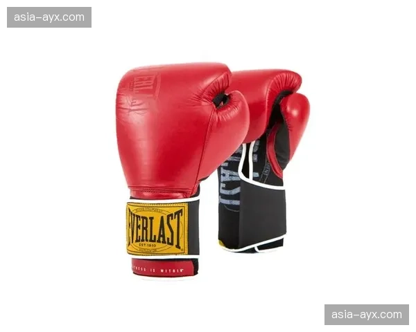 运动装备品牌Everlast公布财报，拳击手套销售额同比增长18%